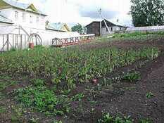 Garden in Goritsy