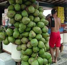 A coconut stand